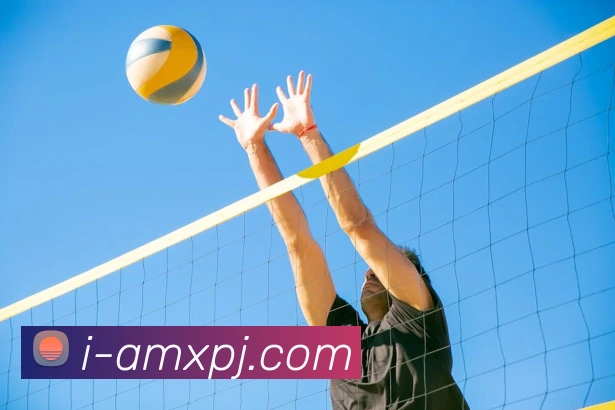 新葡京娱乐品牌故事