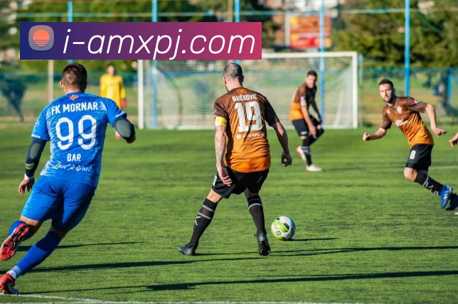 新葡京娱乐服务体系